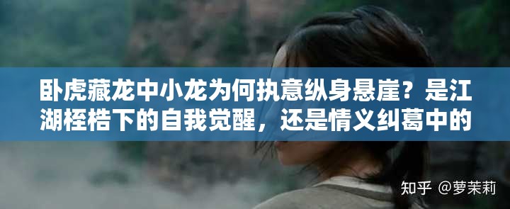 臥虎藏龍中小龍為何執(zhí)意縱身懸崖？是江湖桎梏下的自我覺醒，還是情義糾葛中的終極抉擇？