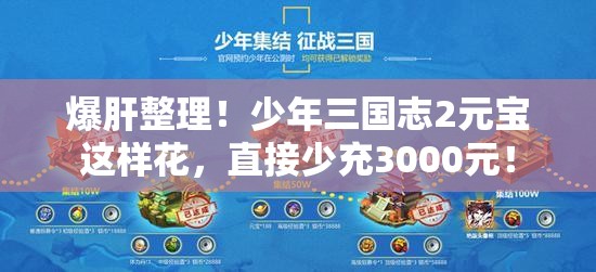 爆肝整理！少年三國志2元寶這樣花，直接少充3000元！