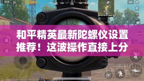 和平精英最新陀螺儀設置推薦！這波操作直接上分如喝水